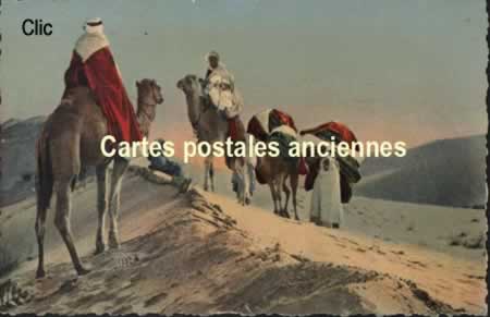 Cartes Postales Anciennes Monde Afrique