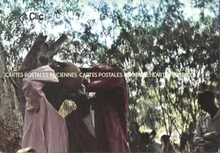 Cartes Postales Anciennes Monde Cameroun